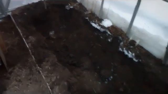 Укоренение черенков винограда в кильчеваторе. г. Павловский Посад. Московская обл. смотреть онлайн