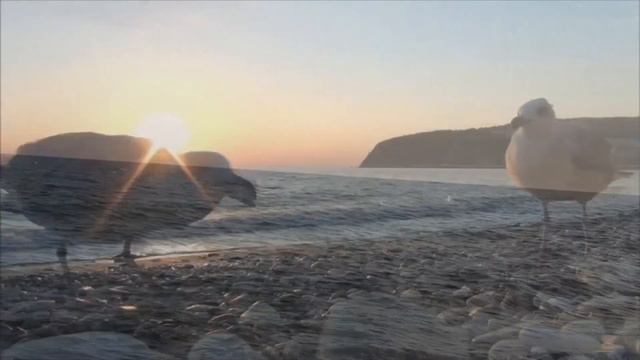 О море! Море! смотреть онлайн