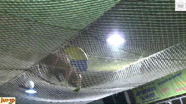 Тренировка воспитанников ЦПЮФ "Луч-Энергия" в батутном центре смотреть онлайн