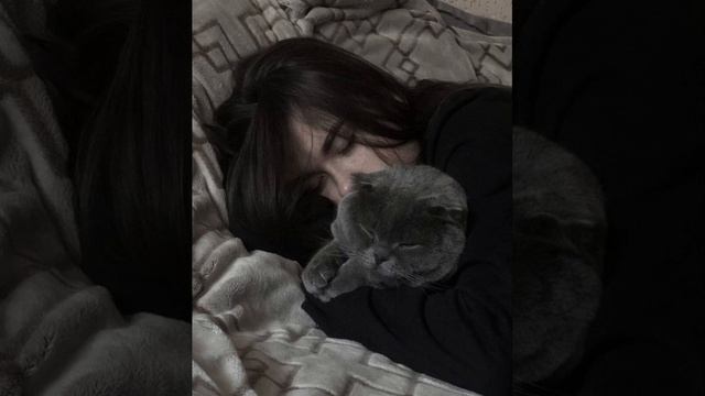 HammAli & Navai - Засыпай красавица ♡ смотреть онлайн