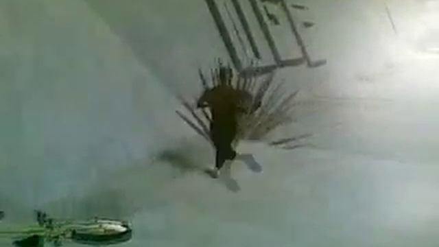 gta смотреть онлайн