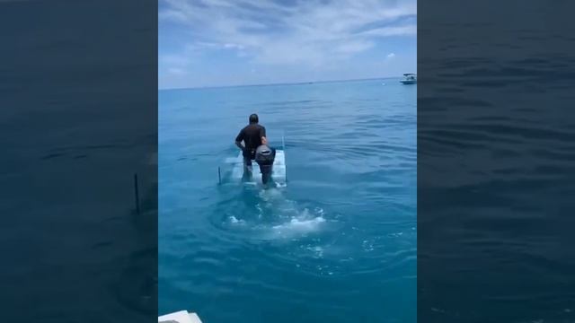 ПРОЗРАЧНАЯ ЛОДКА ИЗ СТЕКЛА ? #Shorts смотреть онлайн