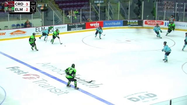 Columbus River Dragons at Elmira Enforcers Ignite Cup Game 1 смотреть онлайн