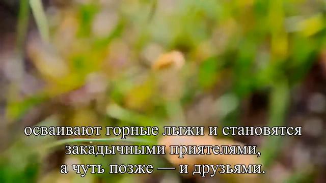 Когда любишь женщину с ребенком… — Статья смотреть онлайн