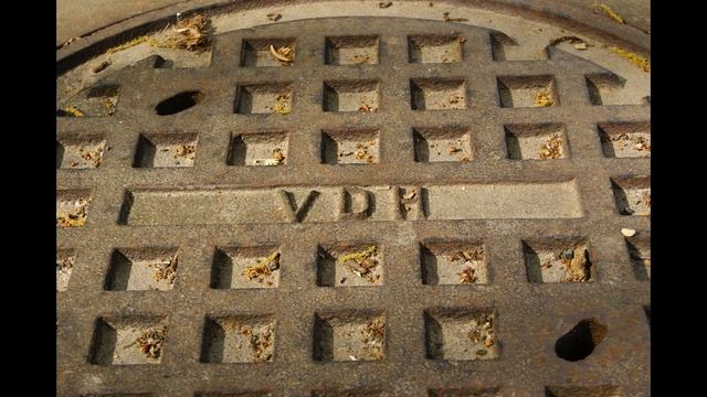 Photo Trip to Florida and More! смотреть онлайн