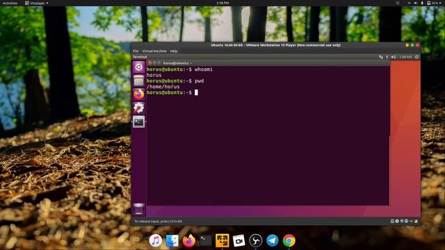 Reverse Shell - With Curl & API ( No Script) смотреть онлайн