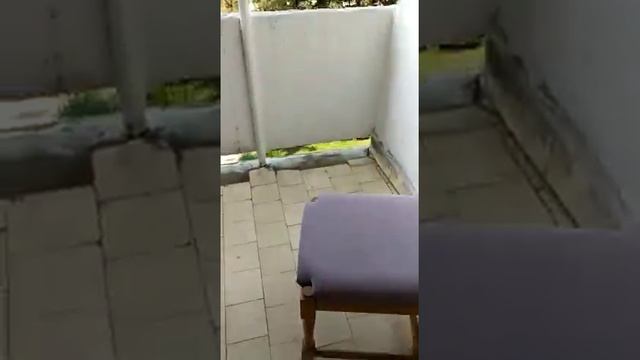 Псоу. Наш номер. Абхазия. смотреть онлайн