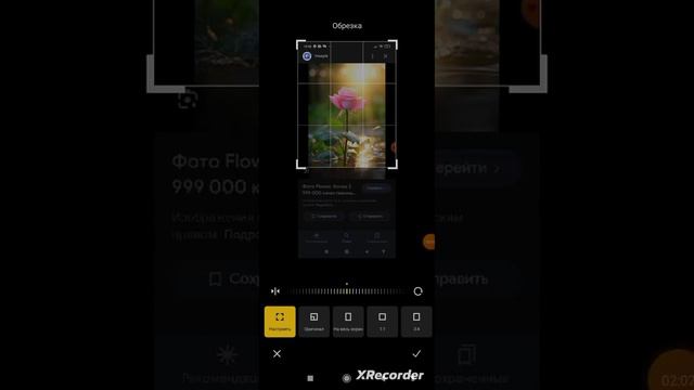 как поставить статус в телеграме смотреть онлайн