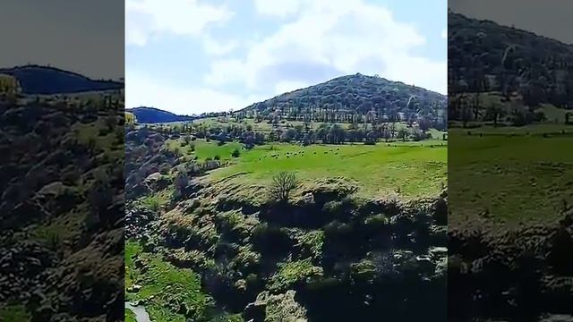 Kurtan