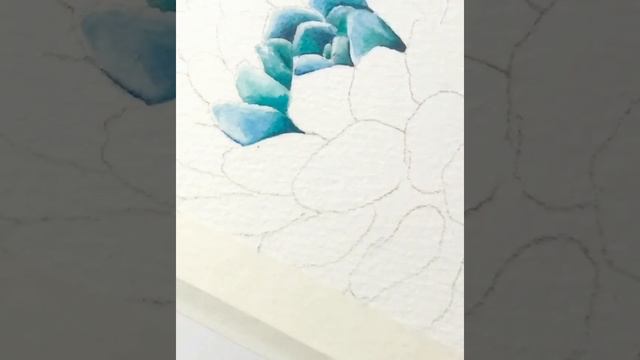 Суккулент акварелью. Watercolor succulent plant смотреть онлайн