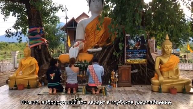 Самые известные виды массажа смотреть онлайн