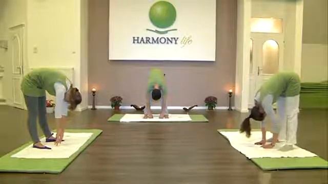 Harmony Life Yoga - Hata joga vežbe 1 смотреть онлайн