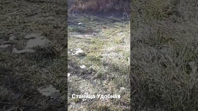 Краснодарский край станица Удобная. Продолжают выбрасывать мусор вдоль дороги водоканала!!! смотреть онлайн