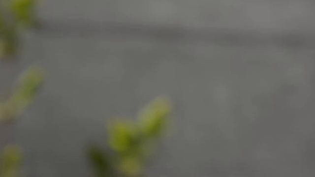 Строительный Марафон