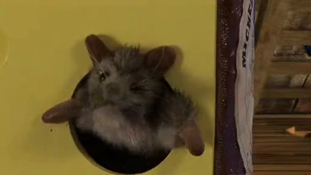 Мышата в сыре 10386 смотреть онлайн