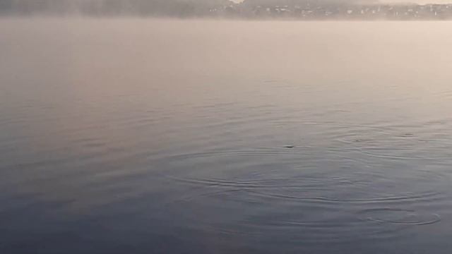 Рыбалка на реке Чусовой. Верхне-Макаровское водохранилище 20 мая 2021 года. смотреть онлайн