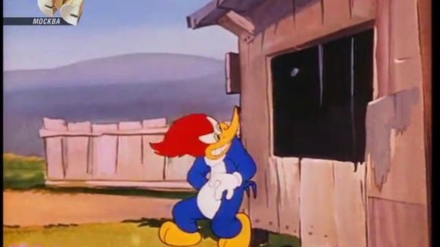 Дятел Вуди Вудпекер /25 серия/ Сплошной цвет слоновой кости смотреть онлайн