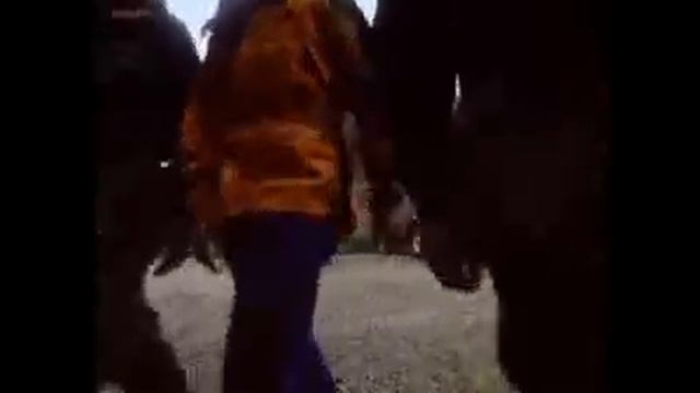 The Human Zoo - Episode 1 Brief Encounters 1-5.flv смотреть онлайн