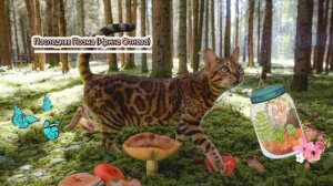 ТОП 3 ПЕСНИ В СТИЛЕ goblin core🧙♀️🍵 Часть 2🧪💕