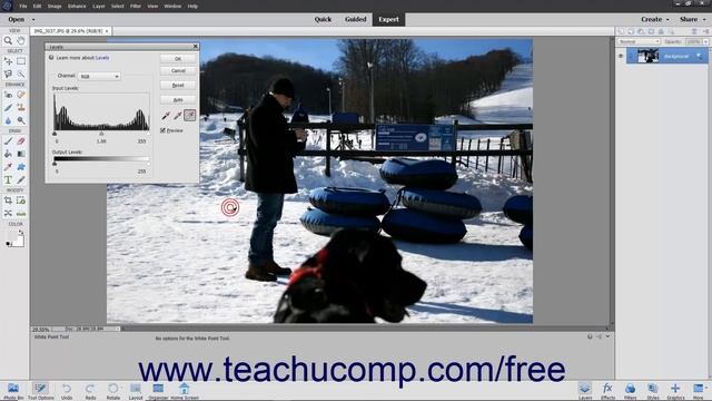 Learn How to Adjust Levels in Adobe Photoshop Elements 2023: A Training Tutorial смотреть онлайн