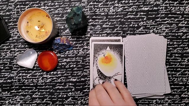 The Wild Unknown Spirit Animal Oracle Deck Flip Through смотреть онлайн