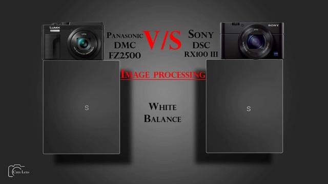 Panasonic Lumix DMC FZ2500 vs Sony DSC RX100 III смотреть онлайн