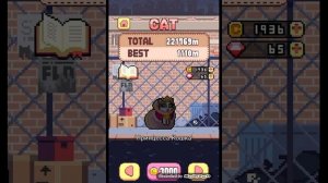 все секрет коты в cat Jump 2 часть