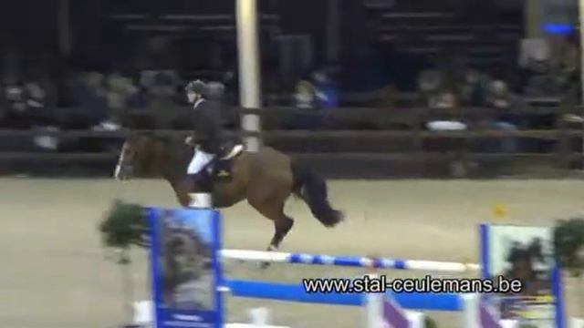 Jacobien Dwerse Hagen, Azelhof 1.20m, 28-11-2014 смотреть онлайн