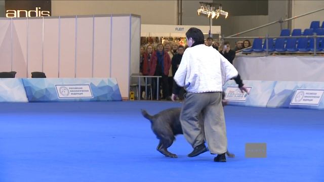 Танец с собакой смотреть онлайн
