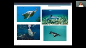 Биология 5 класс 7-8 недели. Среда обитания (наземно-воздушная и водная)