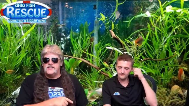Stay Fishy Friday 6/12/20 #teamtracy смотреть онлайн
