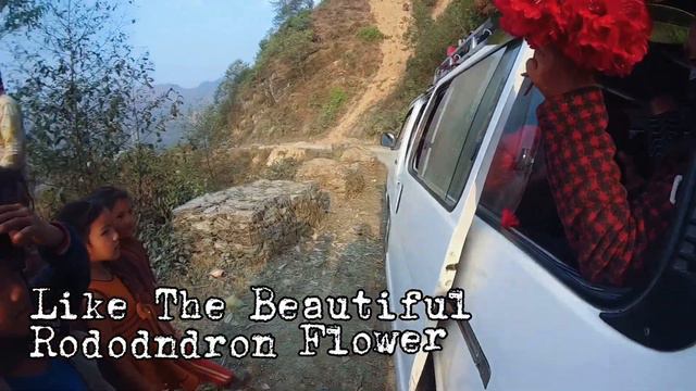 Angels Selling Rododendron || Daman, Nepal смотреть онлайн