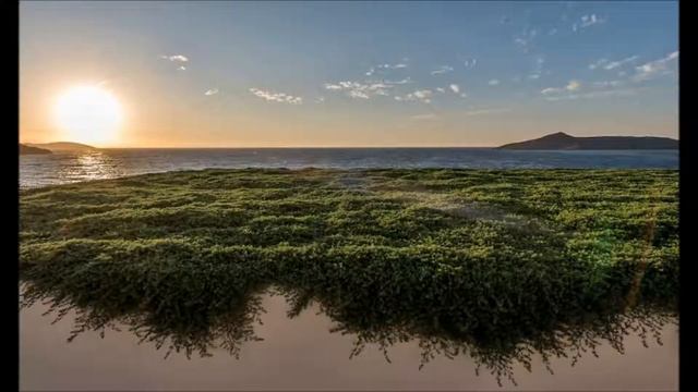 Allium Villas Resort Bodrum