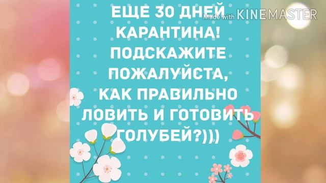 Потерялся любимый! Прикольный анекдот дня! смотреть онлайн