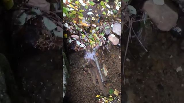 2015/10/06 13:14 HD(~53.3MB） смотреть онлайн