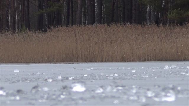 Крупицы мастерства плотва последний лёд, сборник с 10 серий 2 сезонов.mp4 смотреть онлайн