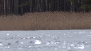 Крупицы мастерства плотва последний лёд, сборник с 10 серий 2 сезонов.mp4