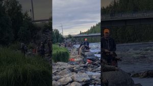 рыбалка на реке умба июль 2023. рыбы нет)
