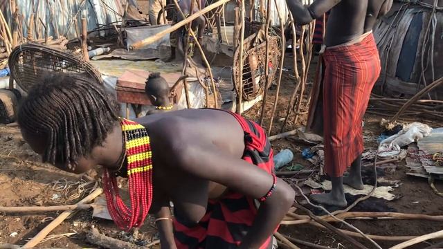 Дикая Африка: женщины племени дассанеш строят дом смотреть онлайн