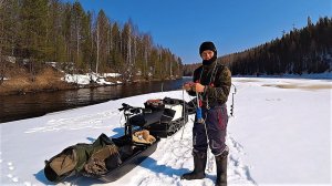 ИЗОЛЯЦИЯ! МЕСЯЦ В ТАЙГЕ! ПРОСНУЛСЯ МЕДВЕДЬ 5 КМ ОТ ПАЛАТКИ! УСТАНАВЛИВАЮ ЛОВУШКУ.СТРОЮ ИЗБУ В ТАЙГЕ