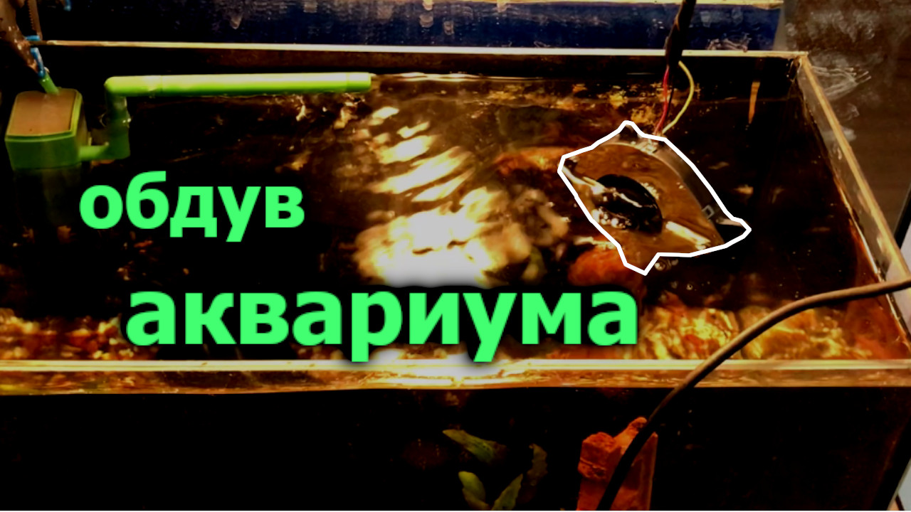 Как Охладить воду в Аквариуме смотреть онлайн