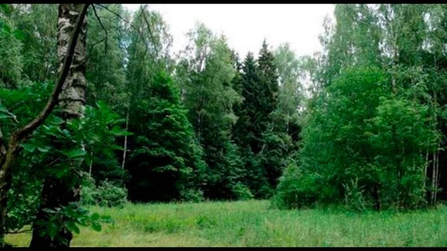 Битва экстрасенсов 13 (выпуск 14)