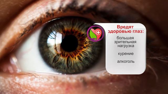 Эстафета здоровья. Что влияет на зрение смотреть онлайн