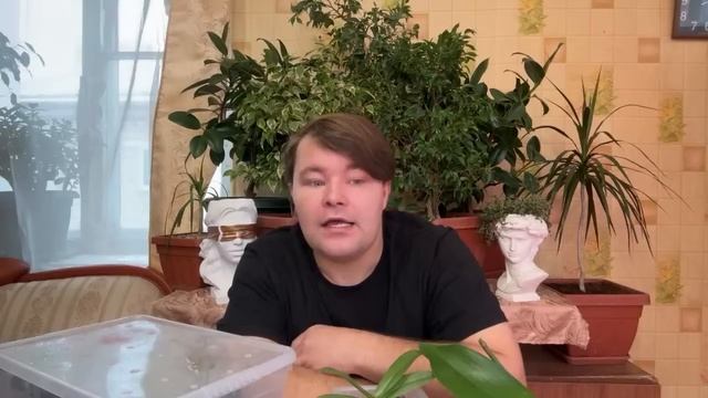 ЕСЛИ #ОРХИДЕЯ БЕЗ КОРНЕЙ - что делать? Как восстановить? смотреть онлайн