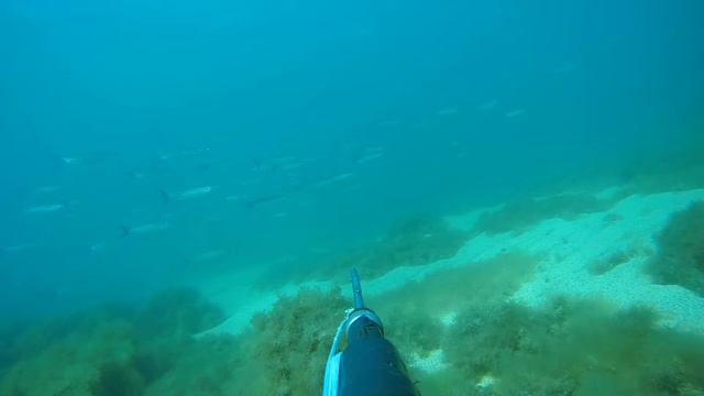 ход кефали, Севастополь, бухта Омега смотреть онлайн