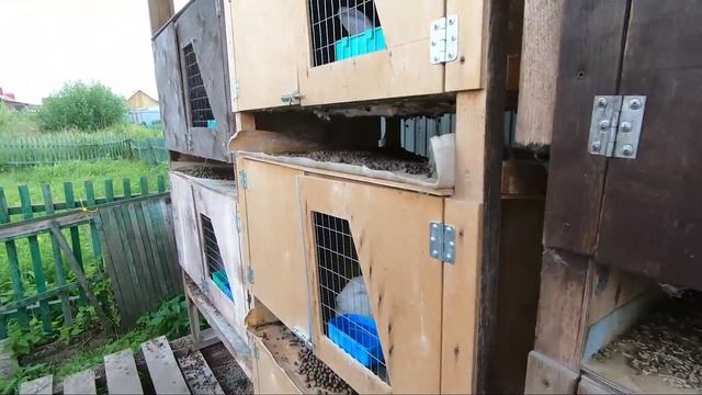 Разведение кроликов. Баня бочка смотреть онлайн