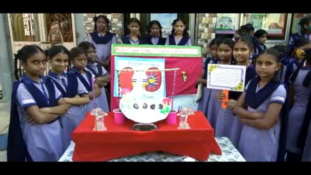 KEN Talent Fire(KTF) - 6th Class Promo смотреть онлайн