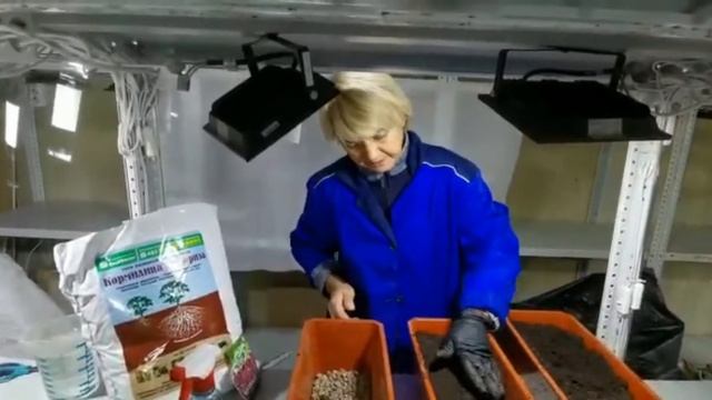 1000 опытов! Ставим эксперименты. смотреть онлайн