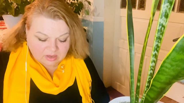 СЕБОРЕЙНЫЙ ДЕРМАТИТ СЛУХОВОГО ПРОХОДА… ( ответ на комментарий ) смотреть онлайн