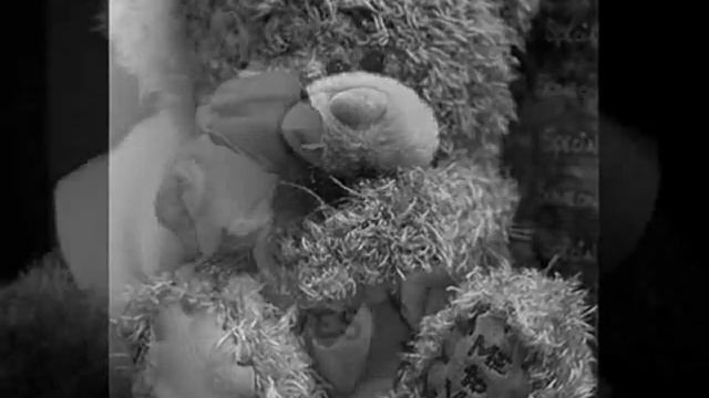 Teddy